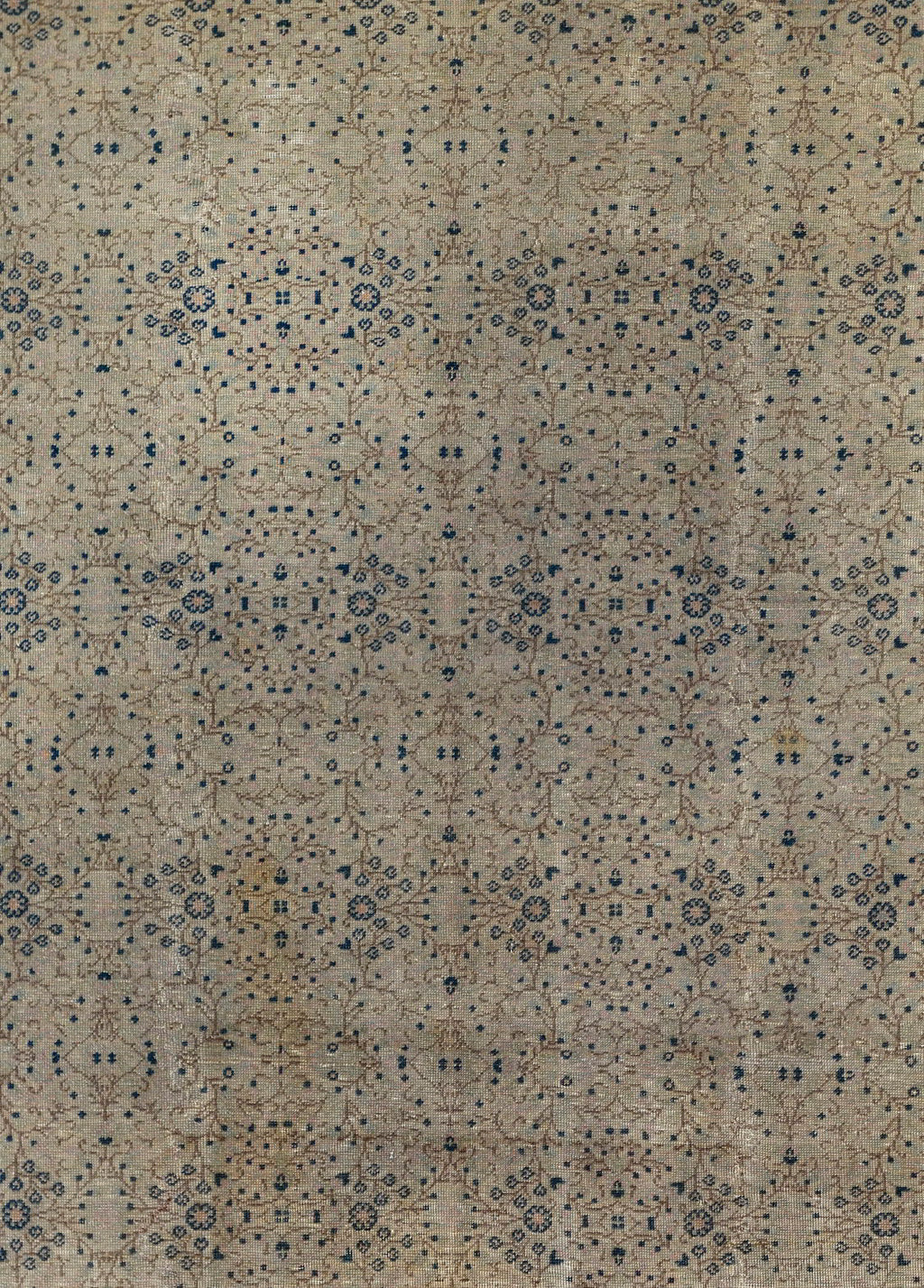 Ephesus Bloom El Dokuma Yün Halı 294x200 cm