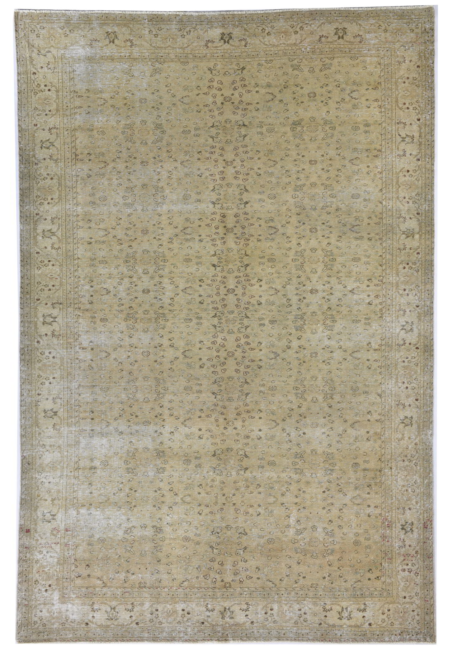 Sand Lily El Dokuma Yün Halı 284x195 cm
