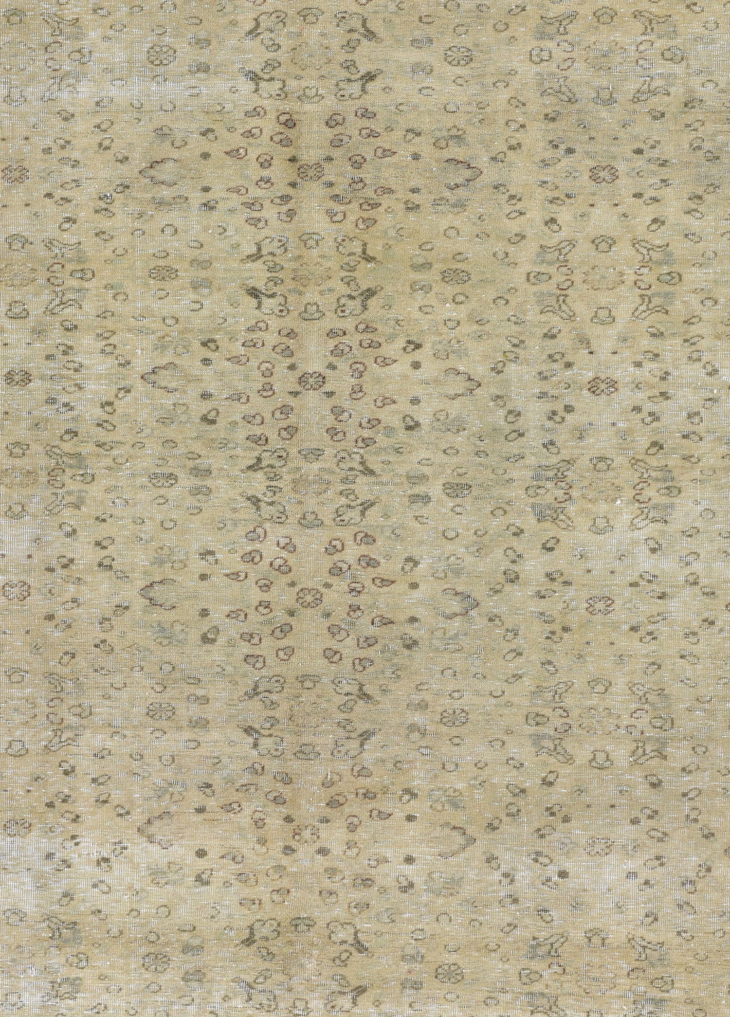 Sand Lily El Dokuma Yün Halı 284x195 cm
