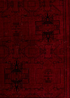 Shahmir Ruby Vintage El Dokuma Yün Halı 309 x 200 cm