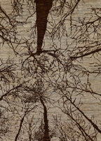 Sylvara El Dokuma Yün Halı 245x163 cm