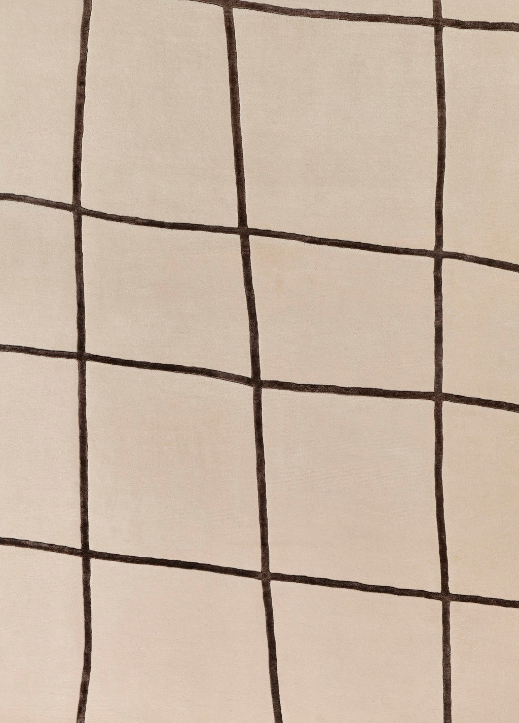 Velmira El Dokuma Yün Ve İpek Halı 241x171 cm