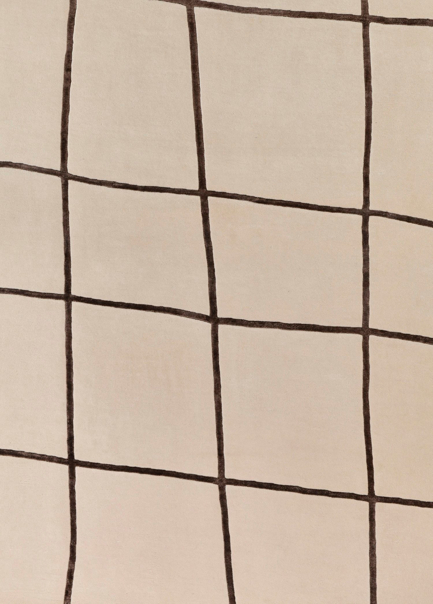 Velmira El Dokuma Yün Ve İpek Halı 241x171 cm