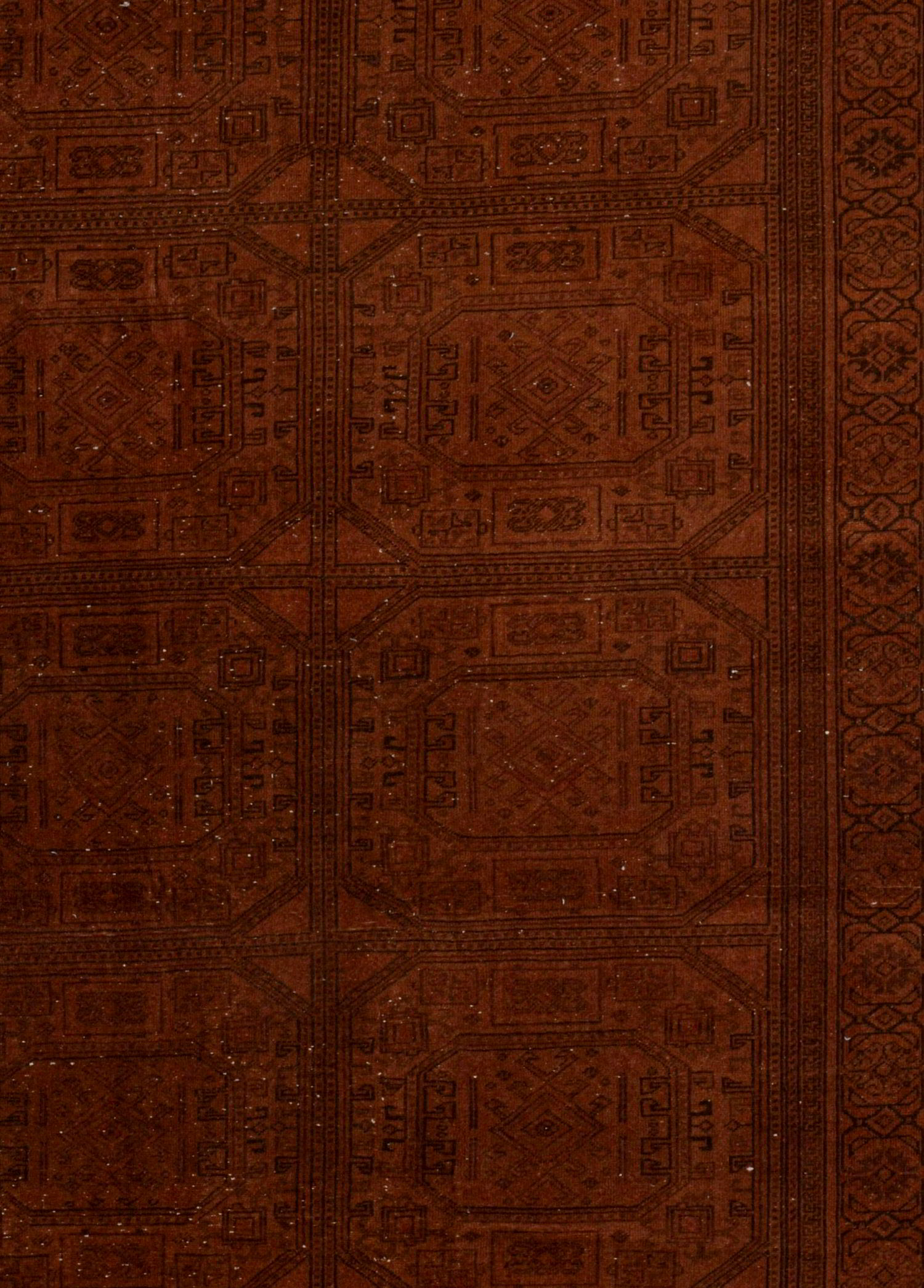 Shahverin Vintage El Dokuma Yün Halı 296 x 201 cm