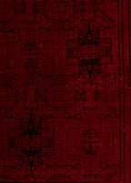 Shahmir Ruby Vintage El Dokuma Yün Halı 309 x 200 cm - Borr Halı