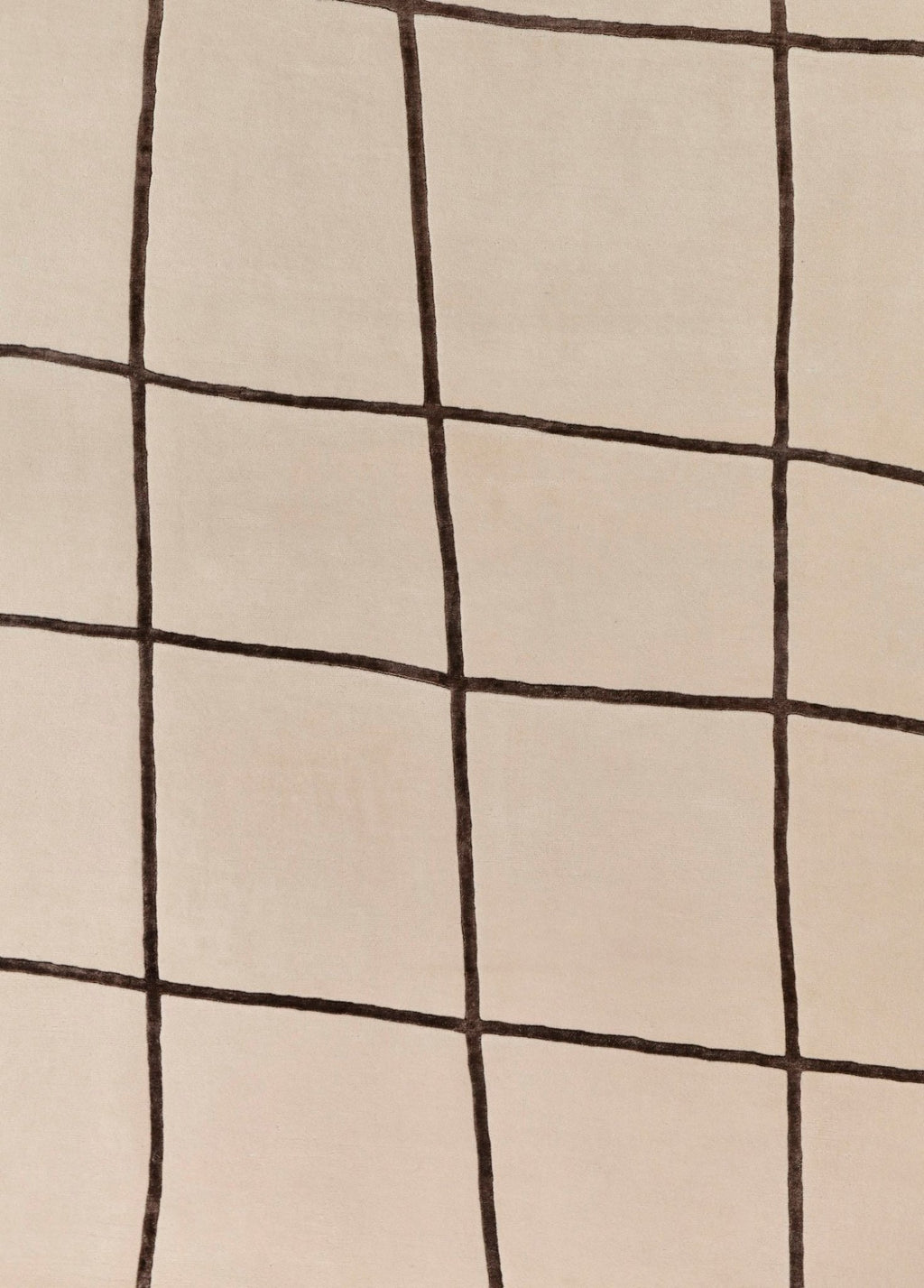 Velmira El Dokuma Yün Ve İpek Halı 241x171 cm - Borr Halı