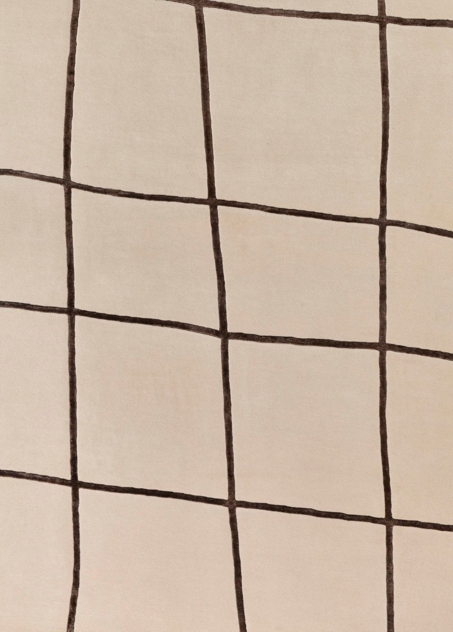 Velmira El Dokuma Yün Ve İpek Halı 241x171 cm - Borr Halı
