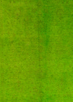 Verdant El Dokuma Yün Halı 270 x 189 cm - Borr Halı