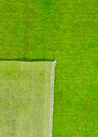 Verdant El Dokuma Yün Halı 270 x 189 cm - Borr Halı